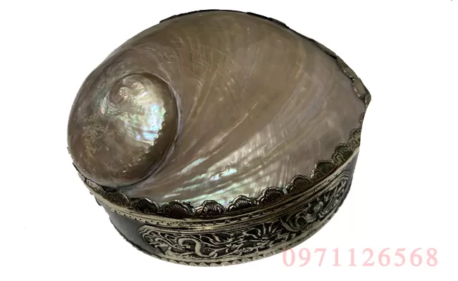 Họp vỏ trai bọc đồng